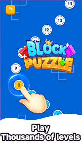 Block Puzzle Screenshot 3